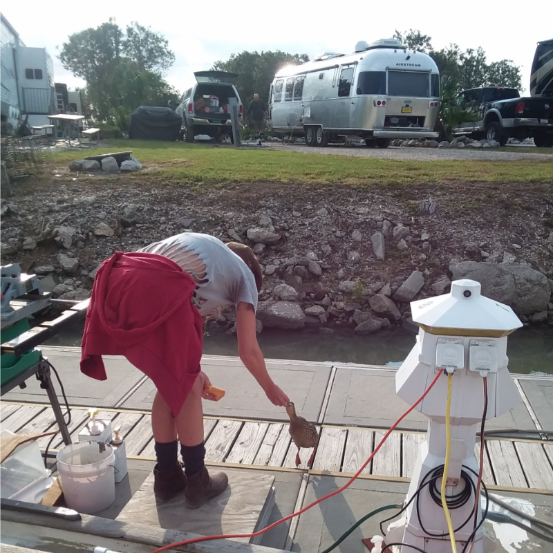Autumn feeding her friend.