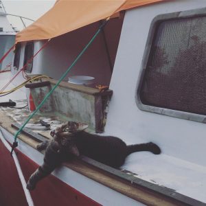 sea-shanti-squeaky-happiness